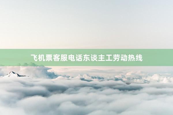 飞机票客服电话东谈主工劳动热线